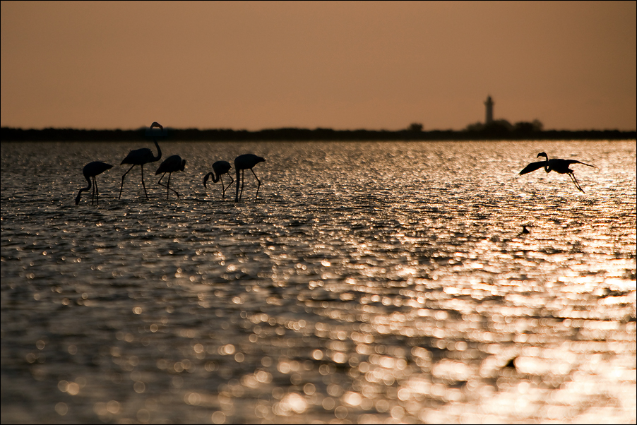 Travelphoto12