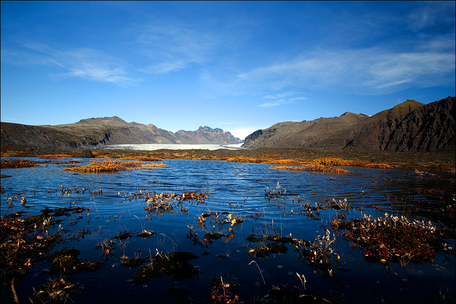 Landscape19